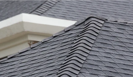 Shingle Roof Replacement