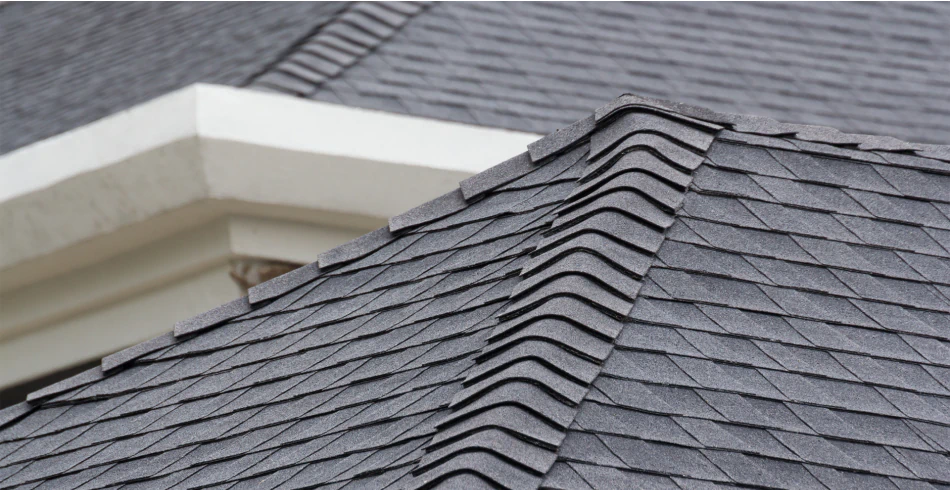 Shingle Roof Replacement Shingle Roof Replacement